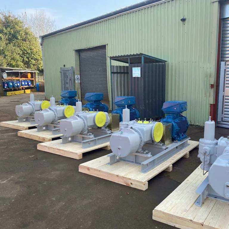 Profaculatorum Pumps