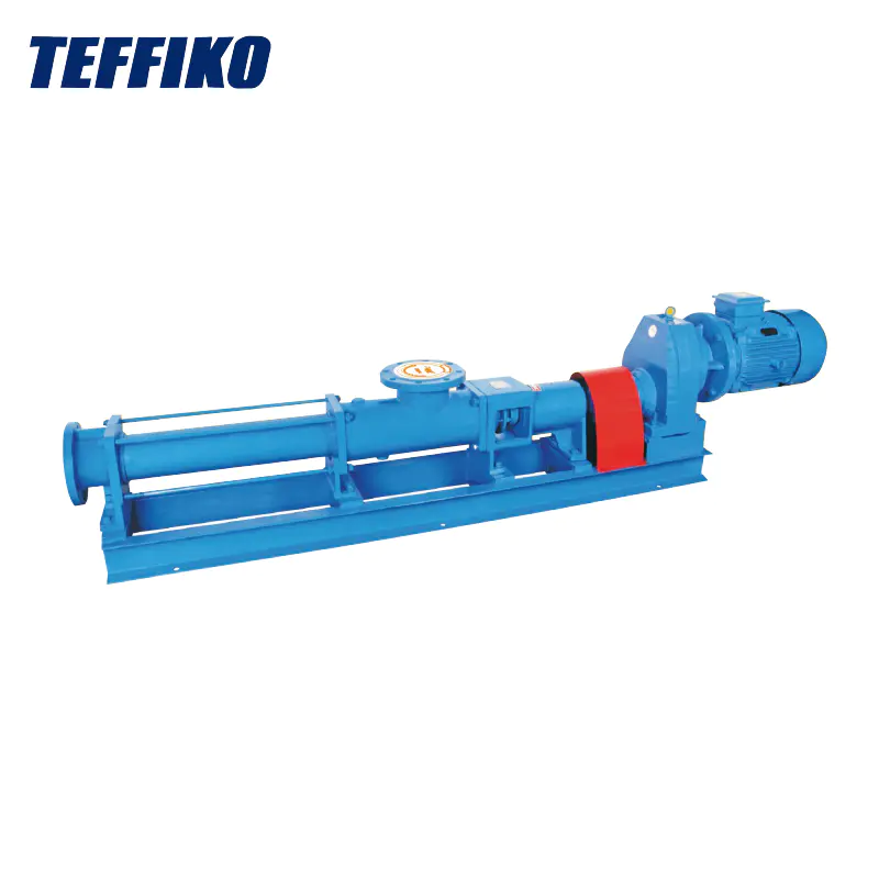 General Type una stupra Pumps